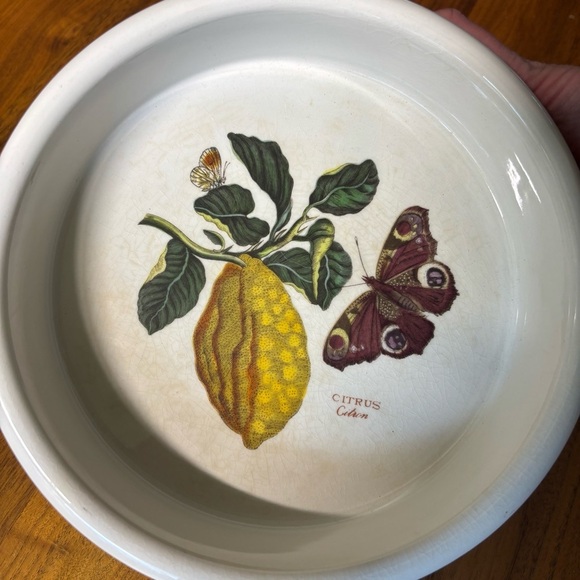 Vintage 1972 Susan Williams-Ellis Citron design Portmeirion 7.5” bowl - Picture 2 of 10